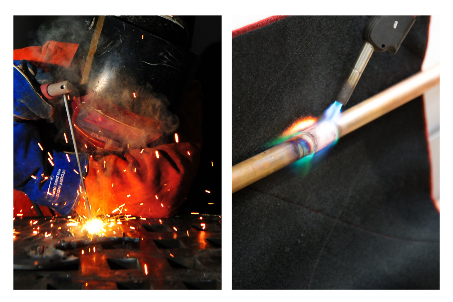 WELDING SOLUTIONS Marina Textil aquatic-plants-facts-types-of-water-plants-petal-talk-43-off